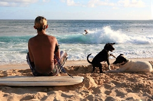 Shred the surf or just settle in the sand for the perfect shoreline experience at Kauai's Poipu Beach.