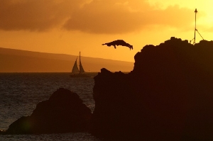 Lahaina, Hawaii (Maui)