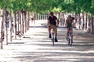 Biking near Lachine Canal (Rue de la Commune) in Montreal.