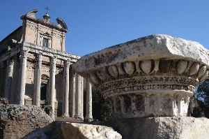 The Forum, Rome- Italy