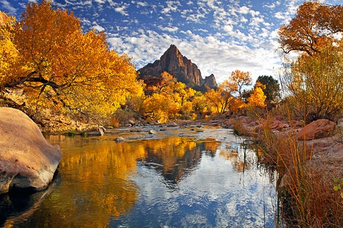 View along the Virgin River in Zion National Park.