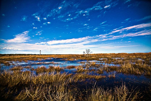 A landscape of the Cape Hatteras Lighthouse in North Carolina.