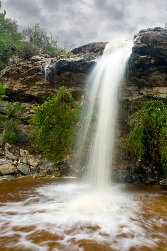 Bridal Wreath Falls in Saguaro National Park in Arizona.