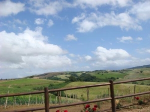 The idyllic countryside of Montalcino, Tuscany.