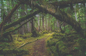 Hidden Places: Bowen Island, British Columbia