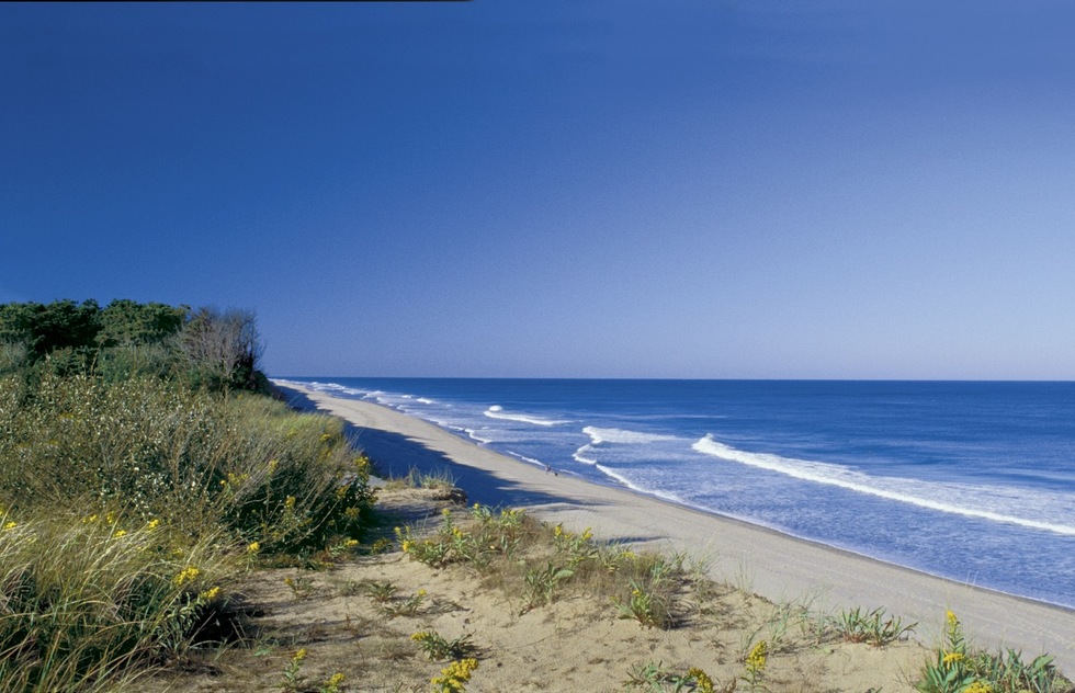 Coast Guard Beach on Coast Guard, Massachusetts