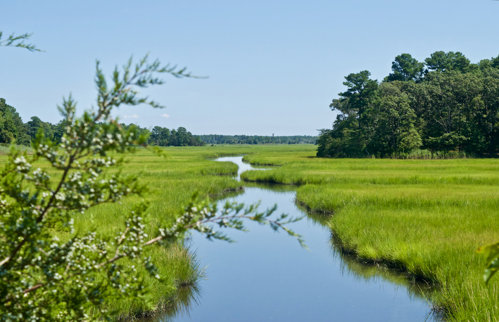 State parks near Rehoboth Beach, Delaware