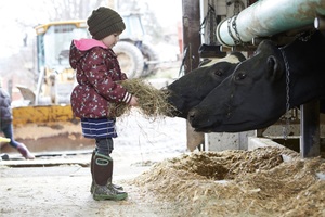 child feeding farm animals at Liberty Hill Farm in Rochester, Vermont