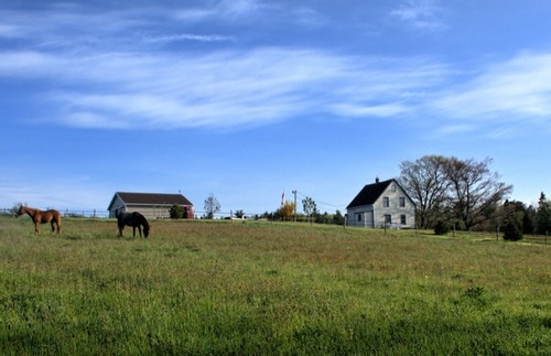 WWOOFing: Explaining a Different Way to Travel, Farm by Farm | Frommer's