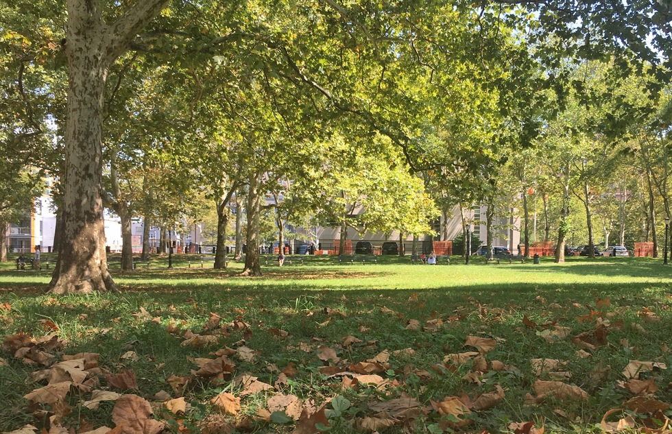 Cadman Plaza Park in Brooklyn