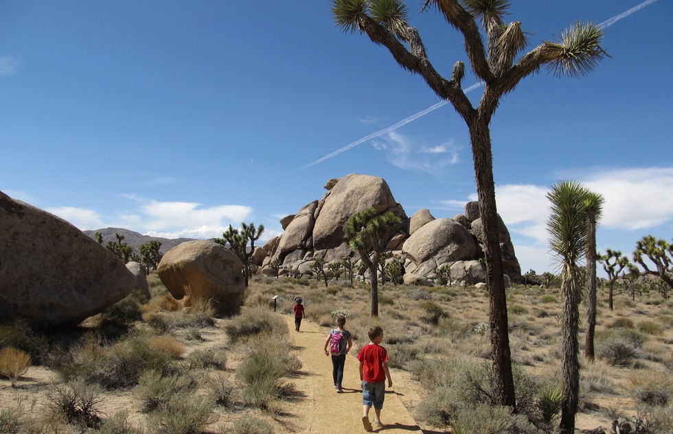 Hikers on a path in Joshua Tree National Park.