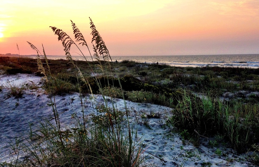 Kiawah Island near Charleston, South Carolina