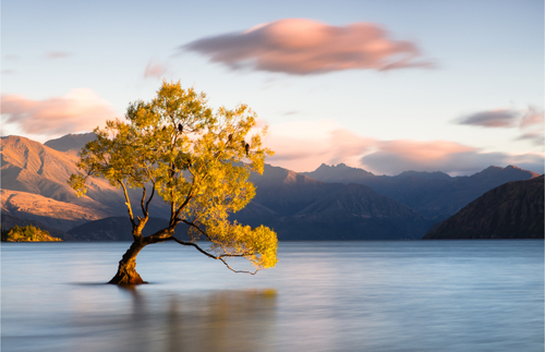 New Zealand Finally Reopening to Vaccinated Travelers | Frommer's