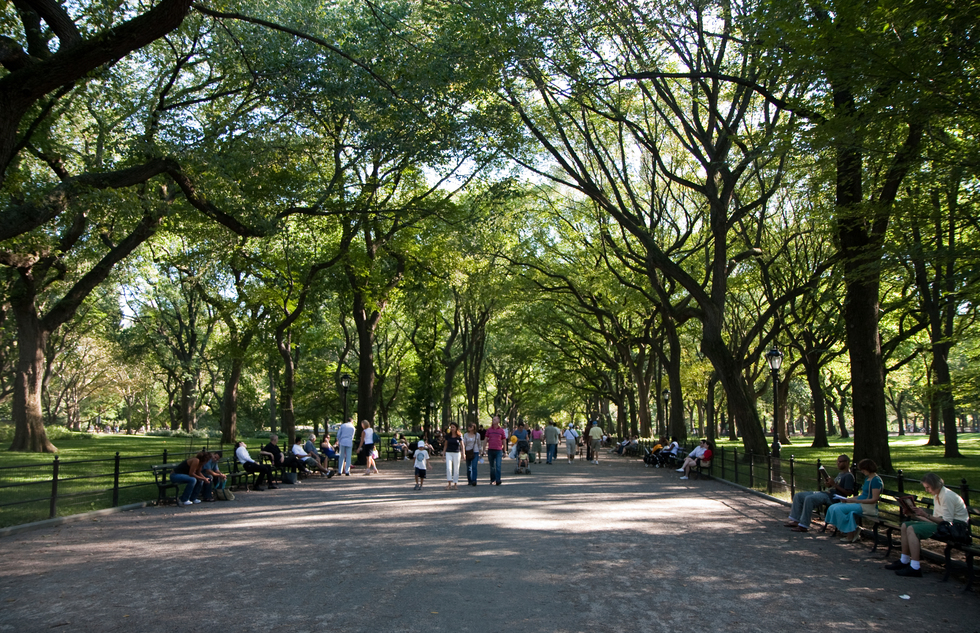 Take a stroll down the scenic trail.