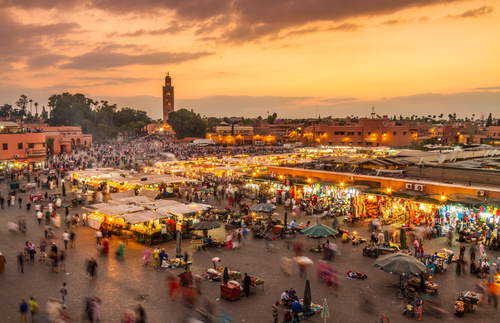 In Morocco, Discovering the Joys of ‘Blind Architecture’ and All Those Cats | Frommer's