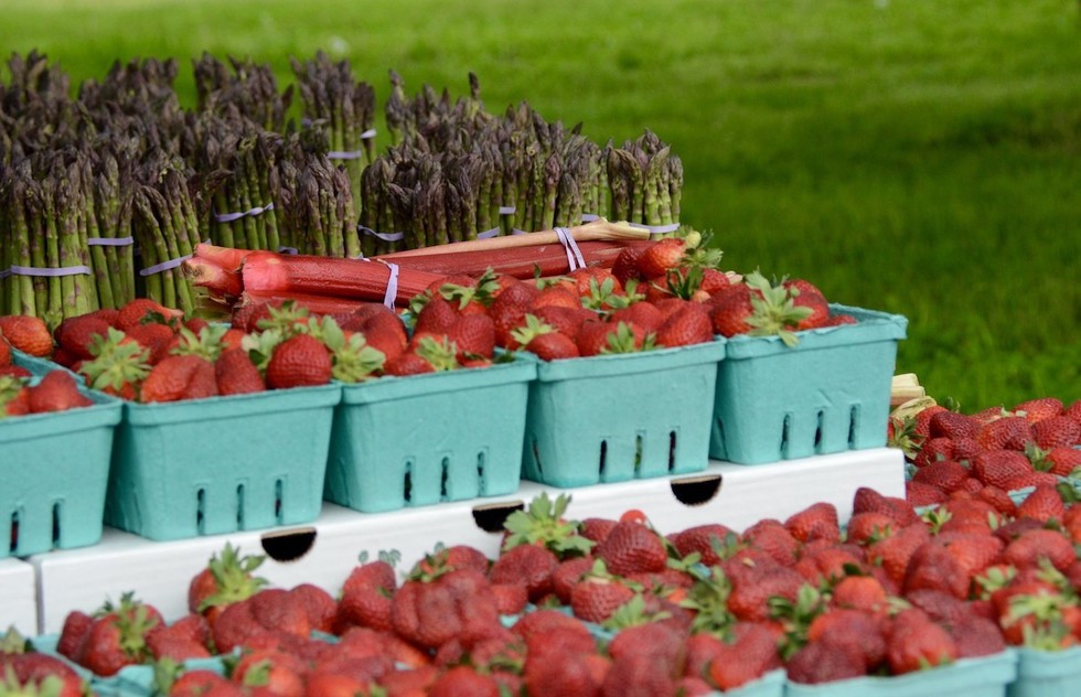 Best farmer's markets in Delaware