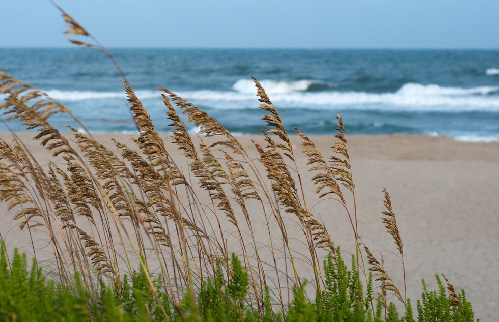 Ocracoke beach on the Cape Hatteras National Seashore in North Carolina