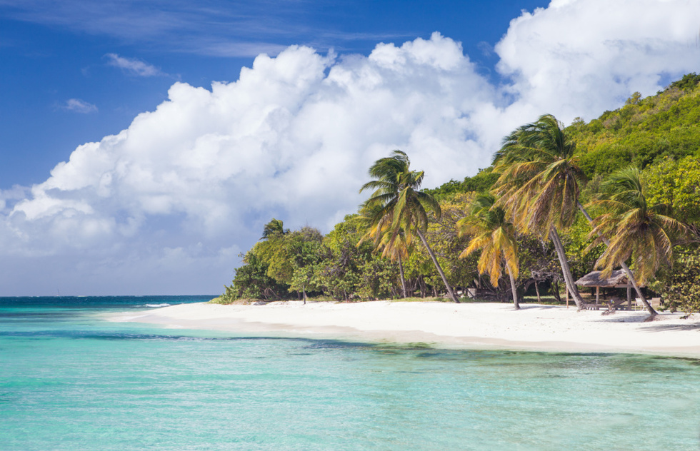 Best Caribbean snorkeling: the Grenadines