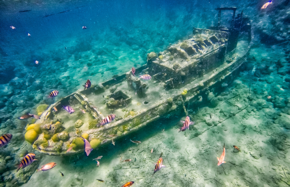 The Caribbean's best snorkeling: Curacao